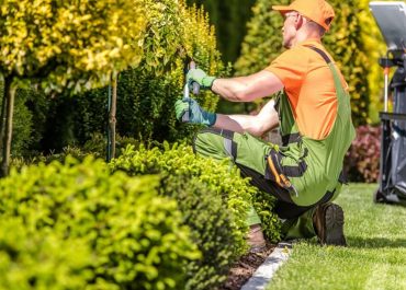 Landscape Maintenance: What is it, and What are its Benefits?